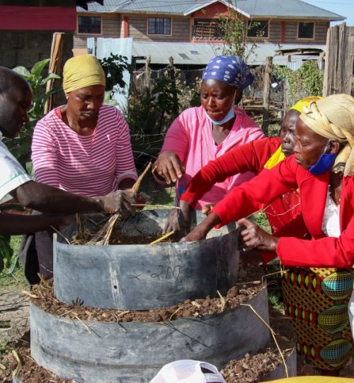 Women in Kenya managing a modern vertical kitchen garden for food security