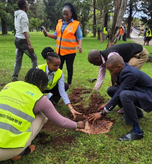 whatsapp image 2025 07 23 at 22.15.19 687a3967